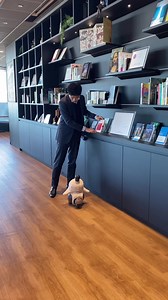 オフィスに笑顔が集まる、人と人をつなぐ。 大企業からベンチャーまで、全国1,000以上の法人に導入中のAIロボット『LOVOT [らぼっと]』 | LOVOT