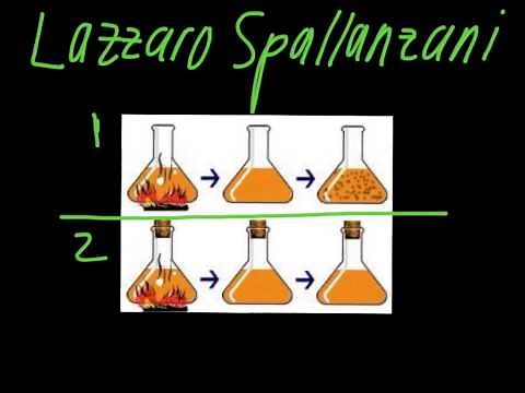 Lazzaro Spallanzani