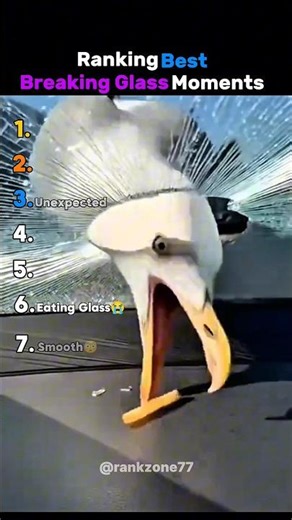 DON'T CHECK THE SOUND 😭😭