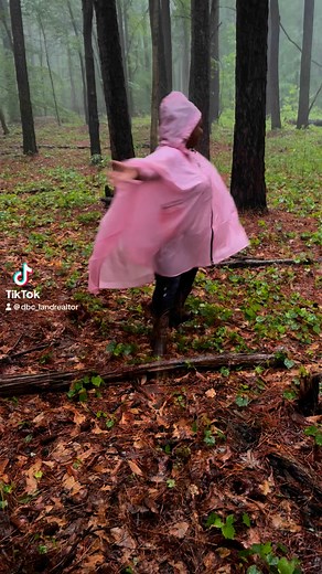 Teaching timber cruising in the rain! | Dana Bloome Chandler