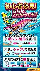 [Level Up from Beginner] Why Aren't You Catching Anything? The 4 Absolute Rules for Success in Eging