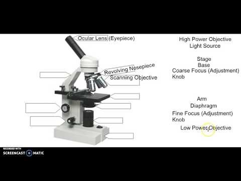 Microscope labeling