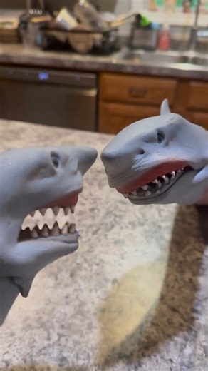 The Shark Puppet #reel #viral #trend #millionviews | The Shark Puppet