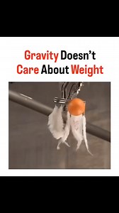 1.1M views · 13K reactions | When there's no air—like in a vacuum—gravity becomes the only force acting on objects. #gravity #Apollo #space #BrianCox | Cosmo Madness | Facebook