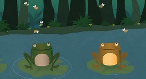 Environmental Science: Invasive Species Animation