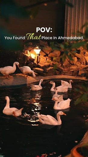POV: Hidden Nature Cafe in Ahmedabad You’ll Want to Bookmark (Arbre Cafe)