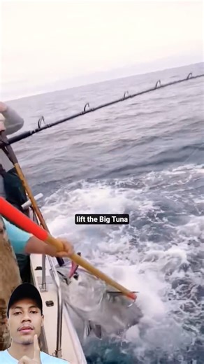 The pull of this tuna is incredibly strong #fishing #fishingrod #tuna #tunafishing