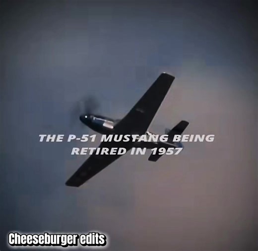 I wish I had one 😂#sr71 #sr71blackbird #northamericanaviation #lockheedmartin #usa