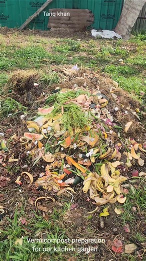 Vermicompost Pits For Our Kitchen Gardens Easy Way Of Preparing