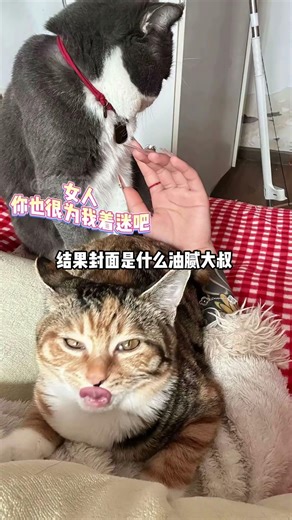 Unbeknownst Cover Charm: My Creatures' Freeze Reaction