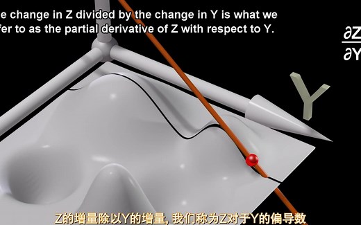 动画带你理解偏导数和梯度 Gradients and Partial Derivatives(Physics Videos)熟肉