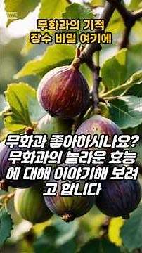 무화과 효능 #건강 #건강관리 #건강쇼츠 #건강정보 #건강습관 #food #health #healthyfood #음식 #음식효능 #효능 #시니어건강 #정보 #시니어 #무화과