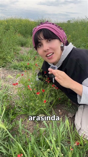 The Red Flower