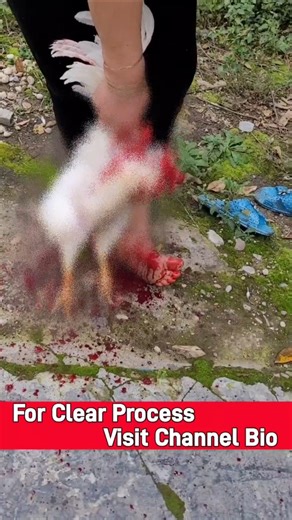 Woman slaughtering chicken