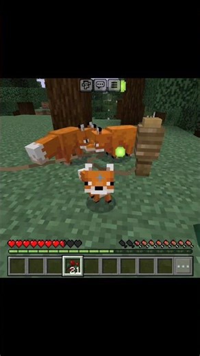 How to Tame a Fox in Minecraft | Easy Step-by-Step Guide (Hindi) #minecraft #shorts