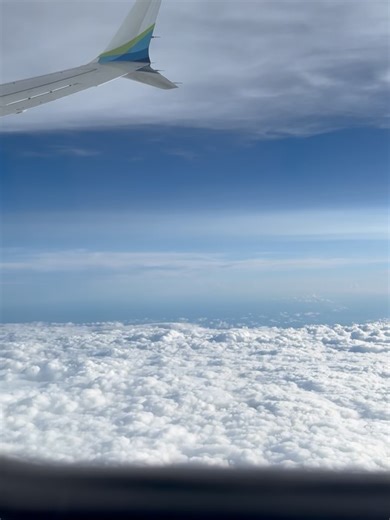 Ana Pessack, Ph.D. on Instagram: "Spring Cleaning 🌻 People usually take down posts that make them lose followers. The disproportionate anger and disparage made me realize we were overdue for a spring cleaning! A la poubelle and life goes on ☀️"