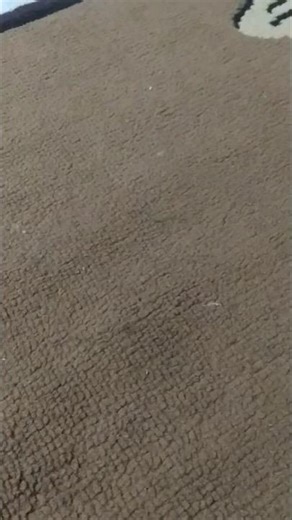 sup retro game boy #mariobros #supgamebox