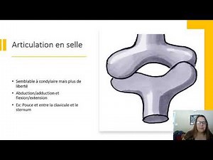 les types d'articulations