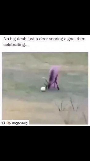 We are celebrating heading into a long holiday weekend! 🎉 We have to extract whatever joy we can in this heavy week. 🙏🏾💕 #WonderWomenTech #Friday #HolidayWeekend #FourthofJuly #Goals #Joy | Wonder Women Tech