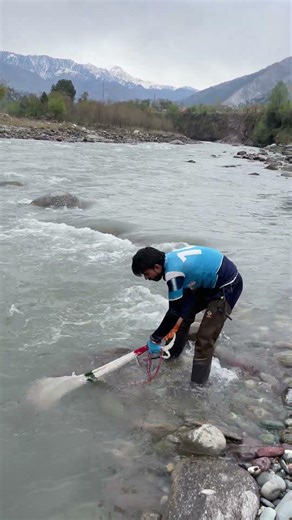 Will I catch pike in the cold valley current? 🐟 #fishing #shorts