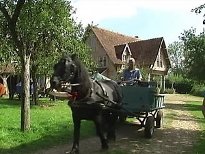 Permaculture : la ferme biologique du Bec-Hellouin | Lumni Enseignement