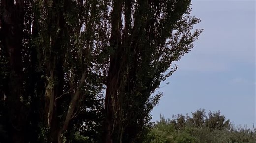 Stargate SG-1 ~ saison 1 épisode 14 en français : Cassandra (Singularity)