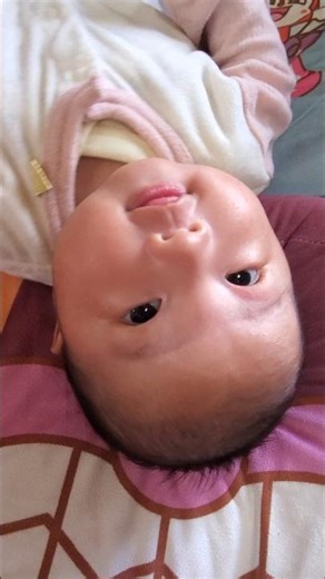【2ヶ月になりました👶🏻‪‪🍼】にーにの謎の蚊取り線香発言。笑 #生後2ヶ月 #赤ちゃん #baby #赤ちゃんのいる生活 #子供のいる暮らし #2児のママ