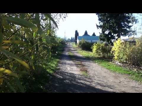 Chainsaw powered Go Kart