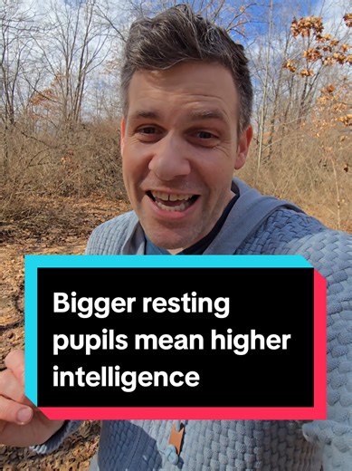 The Connection Between Pupil Size and Intelligence
