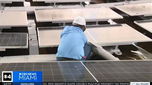 NSU was featured on CBS Miami! ☀️ Our solar panel initiative on the Davie/Fort Lauderdale campus allows us to expand the usage of solar energy, even with land shortage. How? By moving these panels to the water. (🎥: CBS News Miami) #NSUSharks | Nova Southeastern University