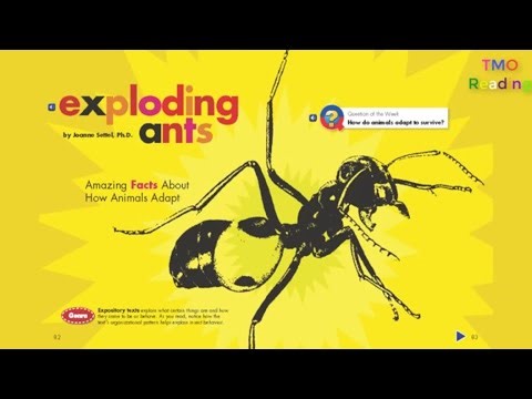 Exploding Ants