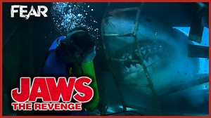 Michael Brody (Lance Guest) is chased through a shipwreck by a very angry Shark! #Fear #FearTheHomeOfHorror #HorrorMovies #Jaws #JawsTheRevenge | Fear: The Home of Horror