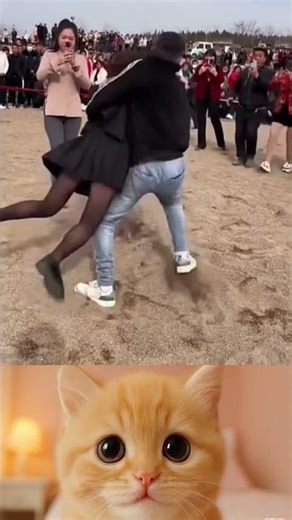 Funny Human Fails Compilation Hilarious Animals Getting Into Trouble Must See Moments! #178