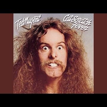 Fist Fightin' Son of a Gun