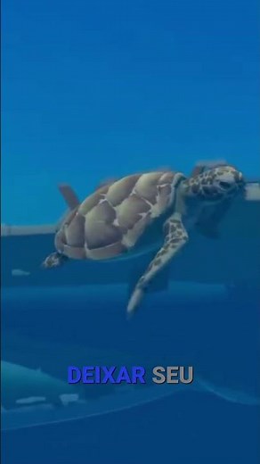 Raft: Explore, Survive, and Build! Gameplay dicas insanas!