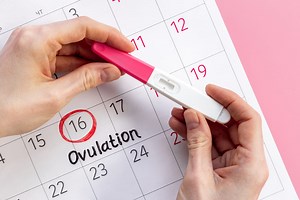 Calcul ovulation : en ligne, date, cycle régulier, irrégulier