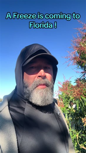 Protecting Fruit Trees from Frost in Florida