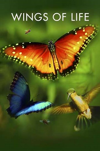 Wings of Life - Movie
