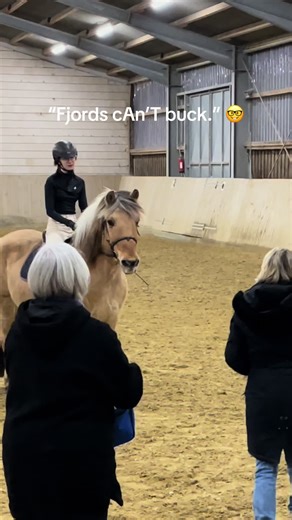 #CapCut #fjordhorse #horse #horseriding #horsegirl #equestrian #equestriangirl #equestriancomedy