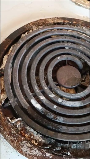 roach party who hungry 🤢🤮#roachakkahaniya #roach #dirty #house #infested #movement #asap #crazy