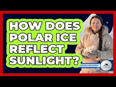 How Does Polar Ice Reflect Sunlight?