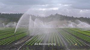 3.2M views · 471 reactions | Mithilfe von Microsoft AI ermöglicht The Yield Landwirten, den genauen Zeitpunkt zum Säen, Bewässern und Ernten zu bestimmen. So entstehen mehr Lebensmittel bei weniger Abfällen. | Microsoft | Facebook