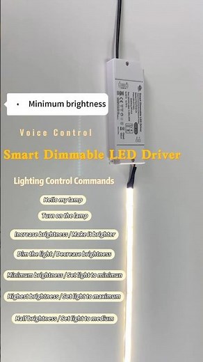 Factory Direct: Professional Smart LED Driver for Home Automation Projects