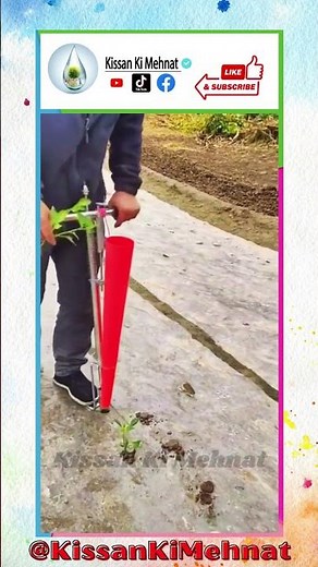 Seedling Transplanter | Vegetable Seedling Planter | Bulb Planter | Seedling Planter Tool