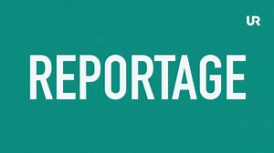 Orka plugga - Skriva: Textgenrer - reportage | UR Play