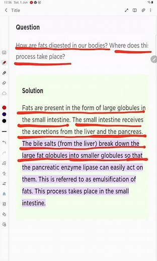 How are fats digested in our bodies? Where does this process take place?