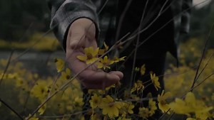 THE HEAT (micro music video) directed by @jessescimeca | Stephen Stanley