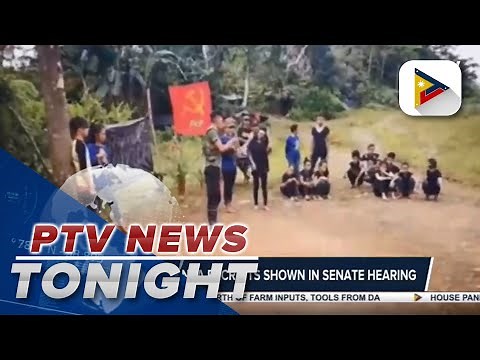 Video of new NPA recruits shown in Senate hearing