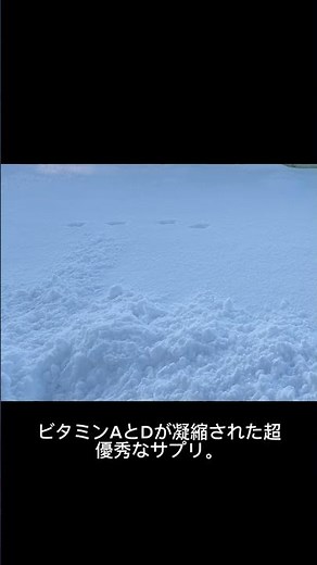 【懐かし】あの「肝油ドロップ」の正体