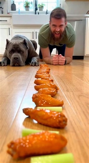 Dog vs Human: The Buffalo Wing Challenge Gone Wrong